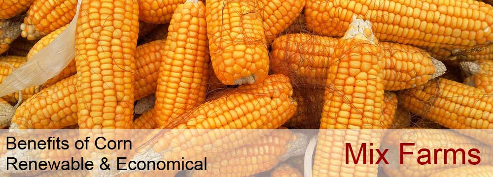 the benefits of corn for heating